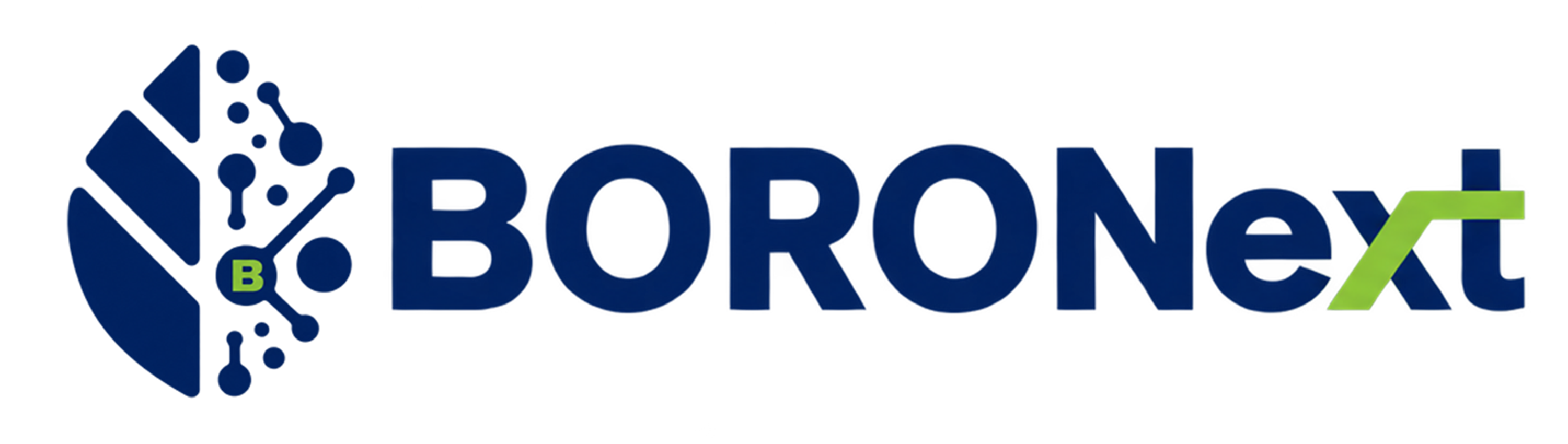BORONext